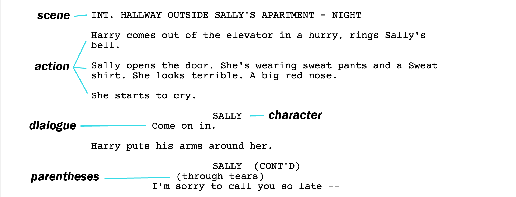 Example of script structure